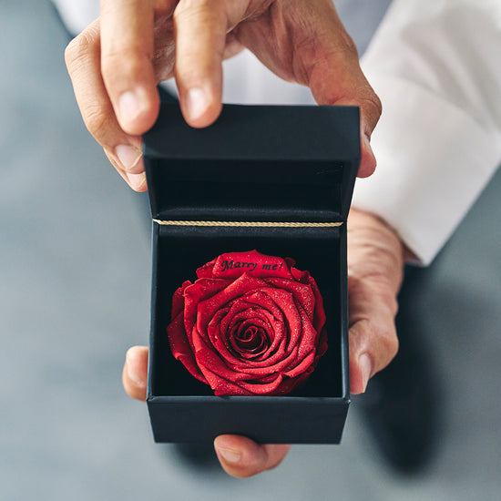 ３本の白いバラの花言葉は 愛してるらしい 知らずに買っちゃったよ笑👼🏻