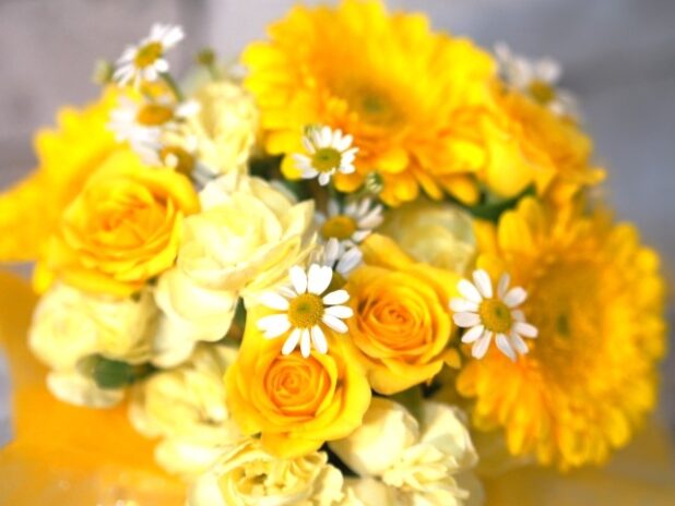 友情」や「親交」の 花言葉をもつ花を紹介！贈り物の体験談まで – 東京寿園