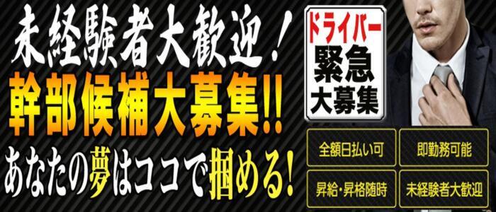 市川の風俗求人【バニラ】で高収入バイト