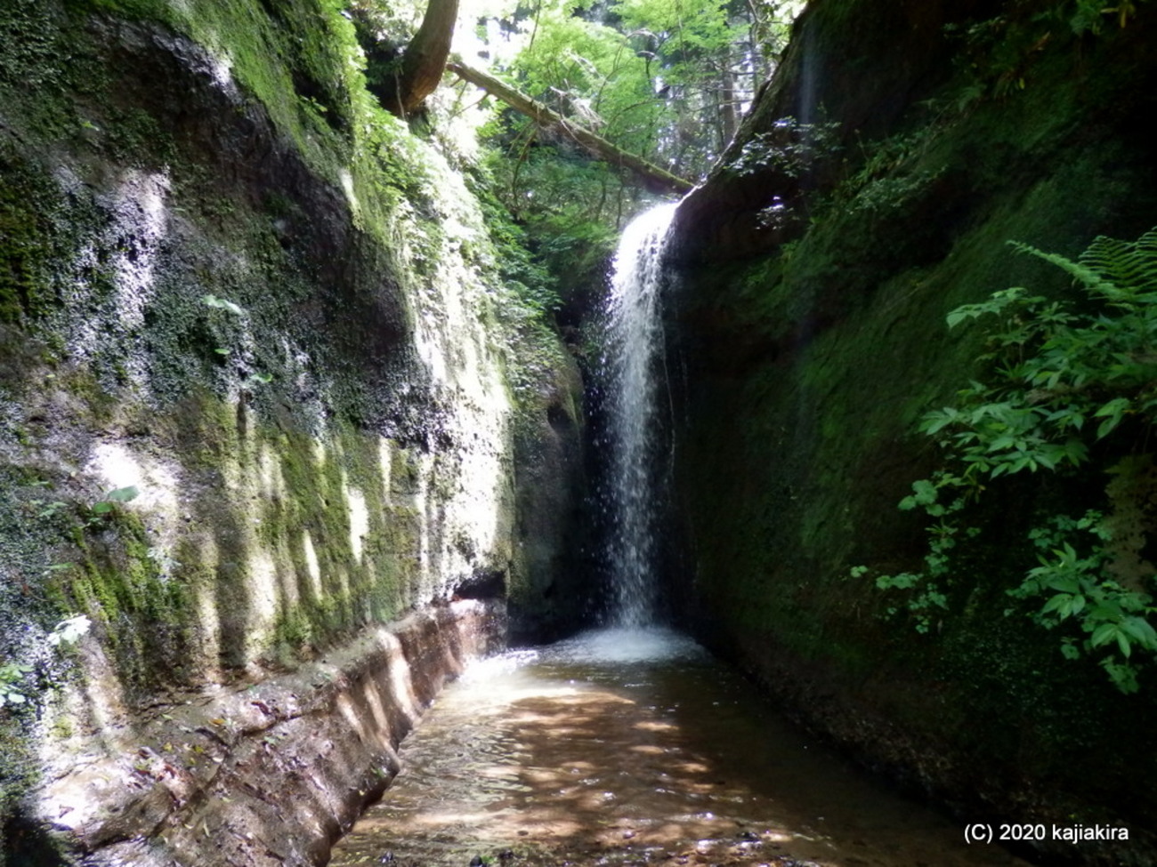 桃川のおたきさま - 神林の名所・旧跡 |