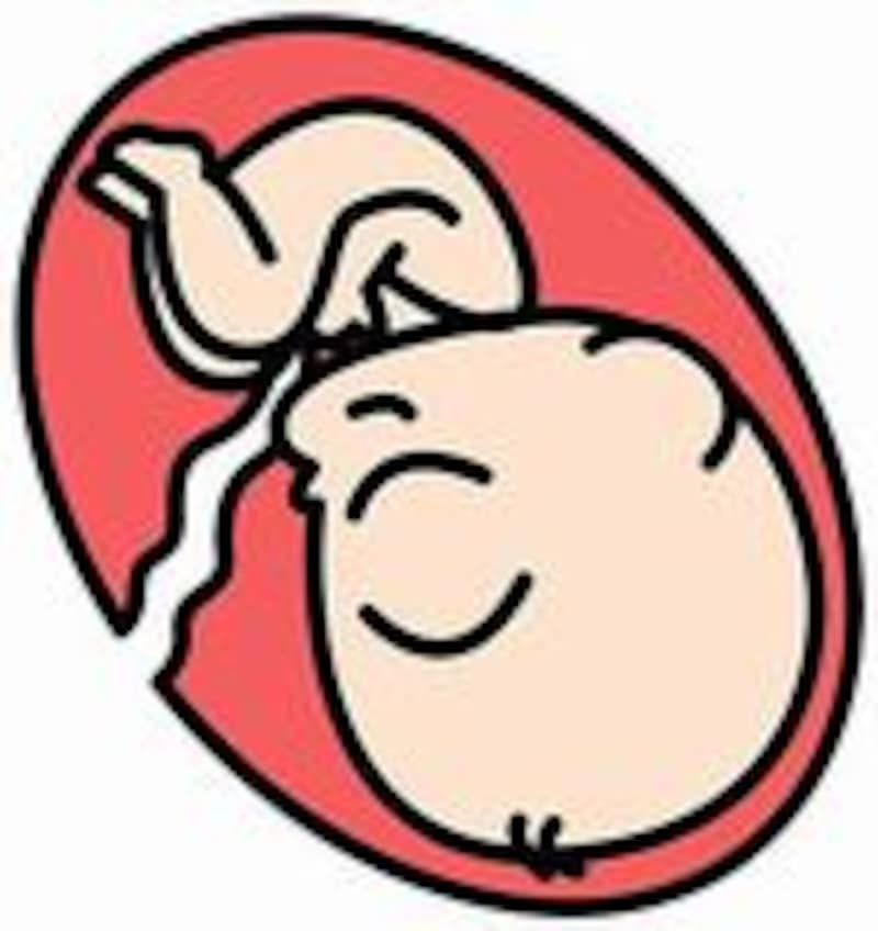 基本のキ 1. 胎児のへその緒は、どこに繋がっているの？ - YouTube