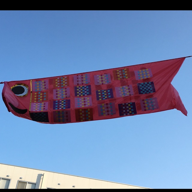 こいのぼりが飾られました。 - うぬま第一幼稚園