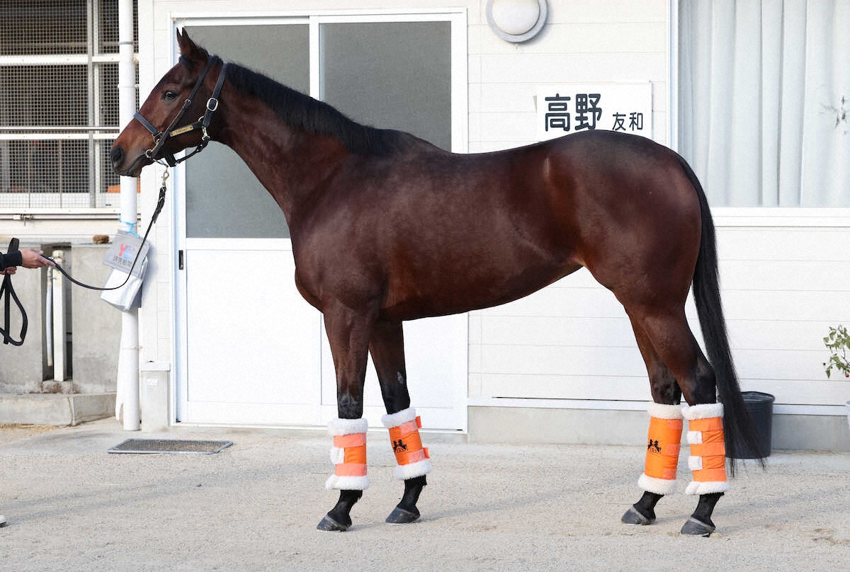 3ページ目)「他の県庁所在地とは次元が違う」東海道新幹線「のぞみ」“第3の巨大ターミナル”「名古屋」には何がある？ | 文春オンライン