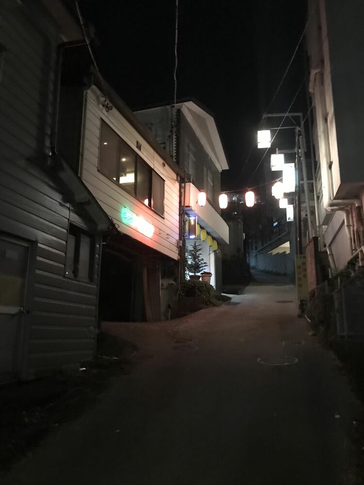 旅の想い出】 伊香保温泉石段街 （群馬県渋川市伊香保町） 情緒。この一言。 なんだか心がうごめき、郷愁に心を躍らされる。