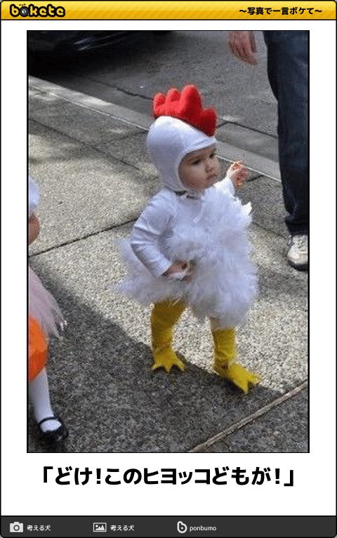 サンタさん、今年は気をつけて！ 今日のボケて 12月8日- Togetter