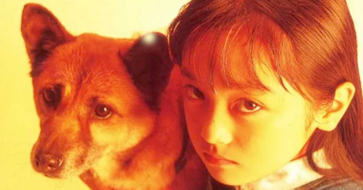 家なき子のキャストの現在 出演者は今どうしてる？ あの人の現在 - YouTube