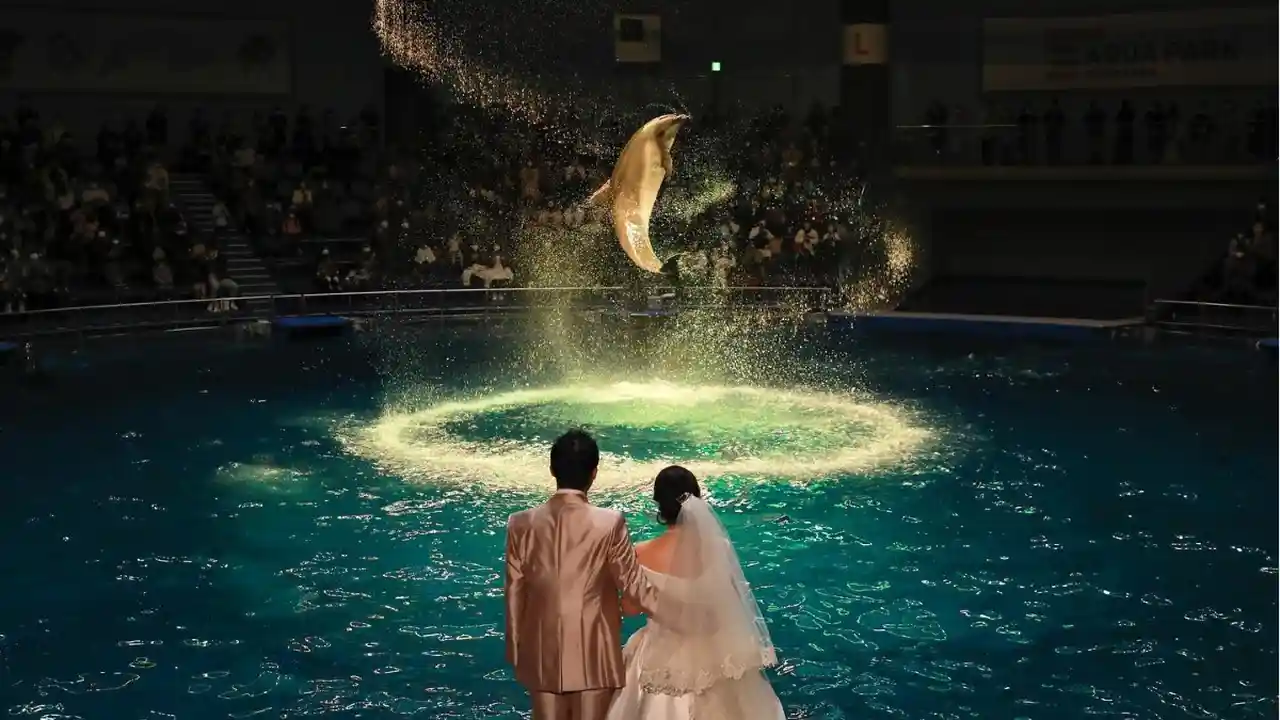 東京で海が見える！おすすめの結婚式場６選 人気ウェディングランキングkiki weddingキキウェディング