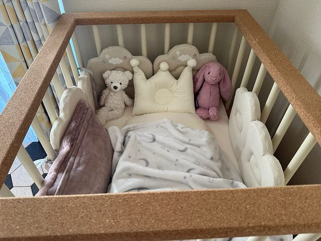 有吉ゼミ ヒロミの八王子リフォームで紹介された赤ちゃんにやさしい塗料2選塗装職人のDIYブログ