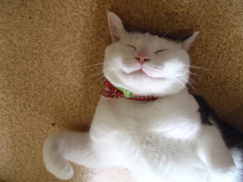 食べてる時の自分の顔 なんて幸せそうな顔してるんだ😂 体と心が喜ぶものを選んで食べる。 食べるもので体と心は作られる。 私の周りの笑顔が素敵な人はみんな食いしん坊だ❤️ photo by @_____9__