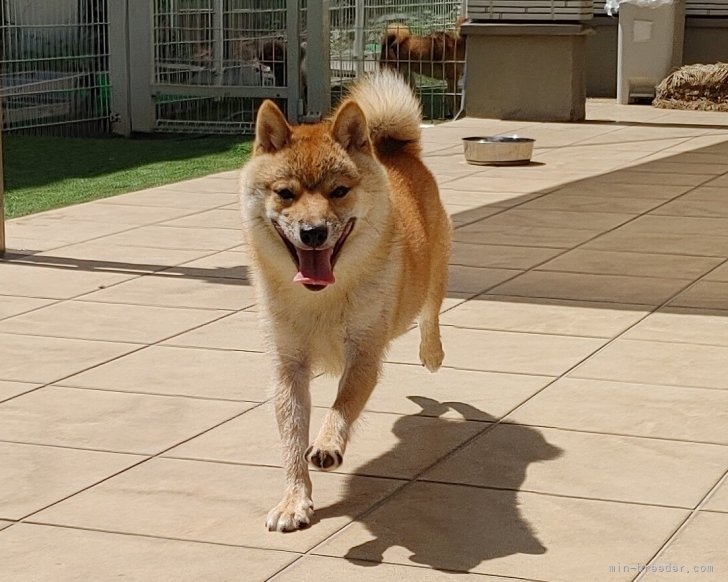 男の子名付け参考用 歴史上の人物の名前一覧!古風でかっこいい名前 - ころんと桃うさぎ