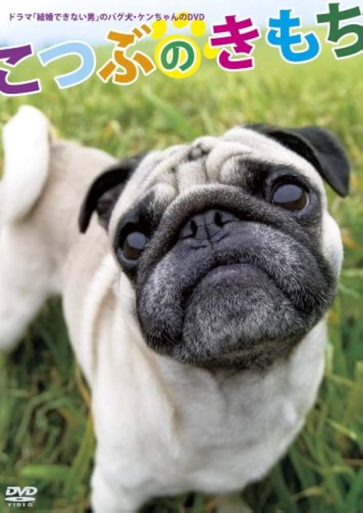 結婚できない男」再放送。けんちゃんヽ ￣▽￣ ノ。徒然なるまま、気の向くまま￣ー￣- 楽天ブログ