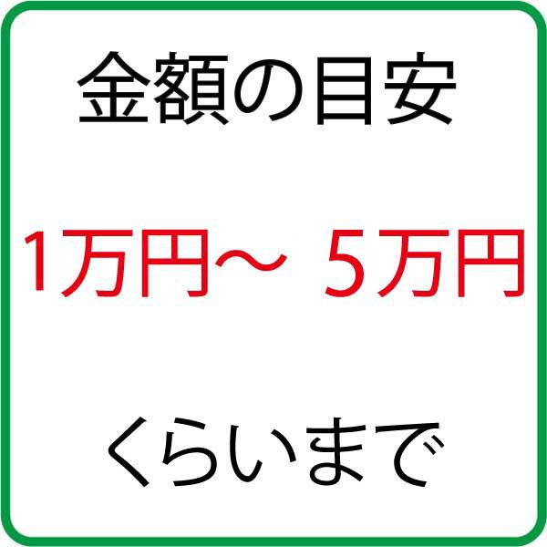 楽天市場 祝儀袋 10万円 100万円 ご祝儀袋 結婚式 結婚祝い 出産祝い楽天1位☆高評価4.8代筆 名入れ対応 御祝儀袋 高額用 金封 寿ご結納 還暦祝い 長寿祝い 新築祝い 開店祝い 大きいサイズ おしゃれ 上品 デザイン ご祝儀袋 P2: 水引そうきち