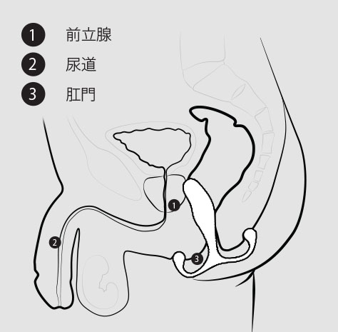 前立腺マッサージとはどんなプレイ？ 風俗エステ嬢がやり方を詳細解説 | シンデレラグループ公式サイト