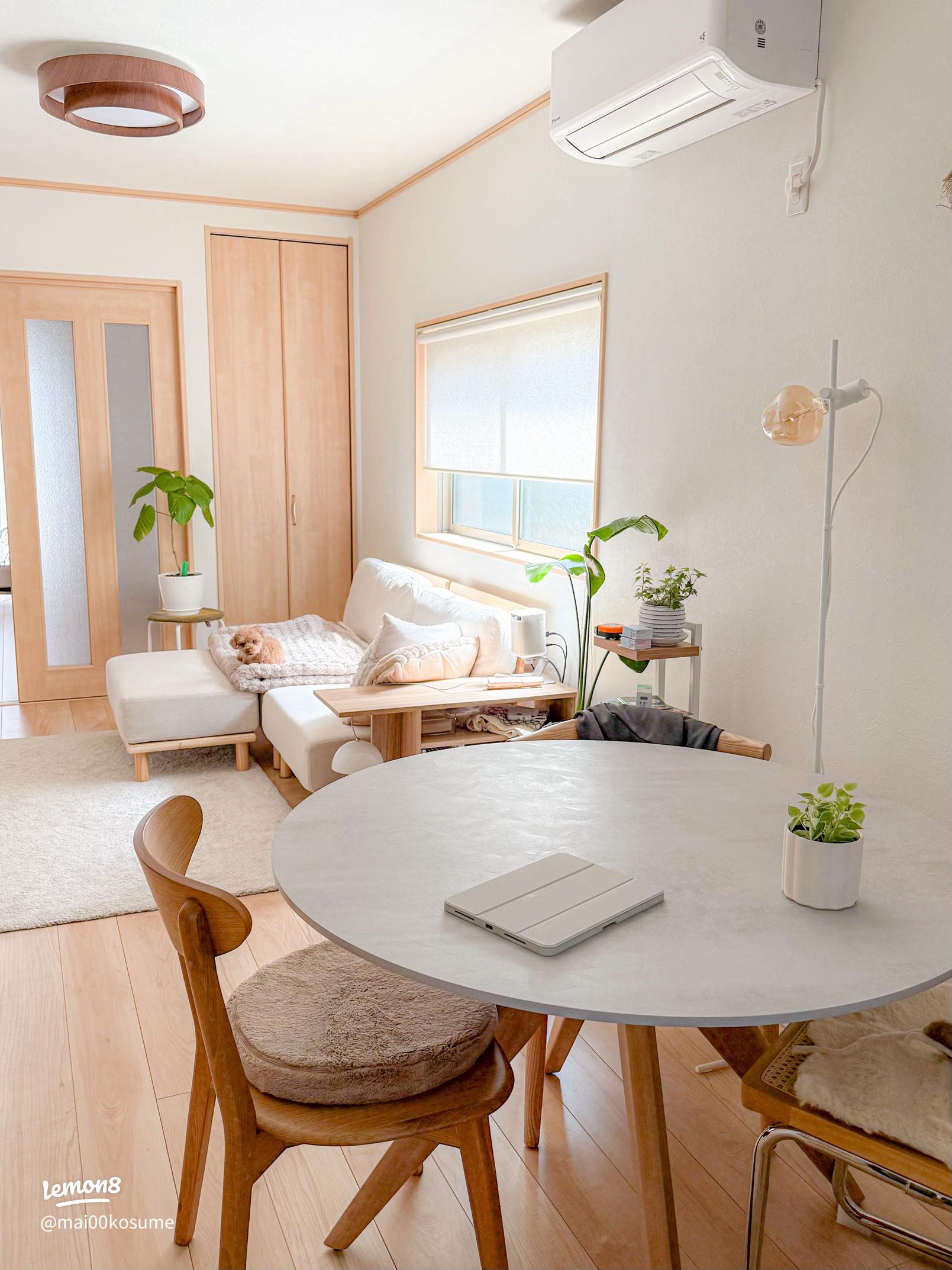 狭いリビングで犬のケージをおしゃれなレイアウトにするには