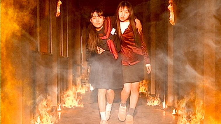 Amazon.co.jp: 花とアリス 特別版DVD: 鈴木杏, 岩井俊二, 鈴木杏, 蒼井優, 郭智博, 相田翔子, 阿部寛, 平泉成,木村多江, 坂本真, 岩井俊二: DVD