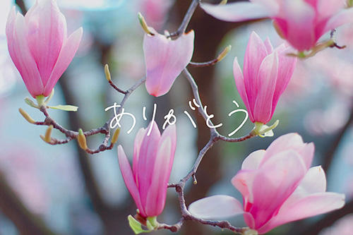 ご心配ありがとうございます」の適切な使い方と、より丁寧な言い換え 例文付き- えりのビジネスコミニュケーションブログ「えり♡コミ」