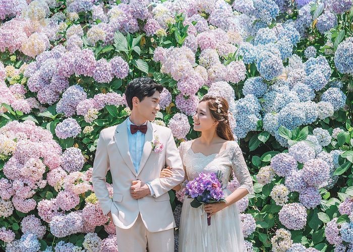 ジューンブライドに紫陽花ブーケ特集DRESSY 公式 ウェディングドレス・ファッション・エンタメニュース