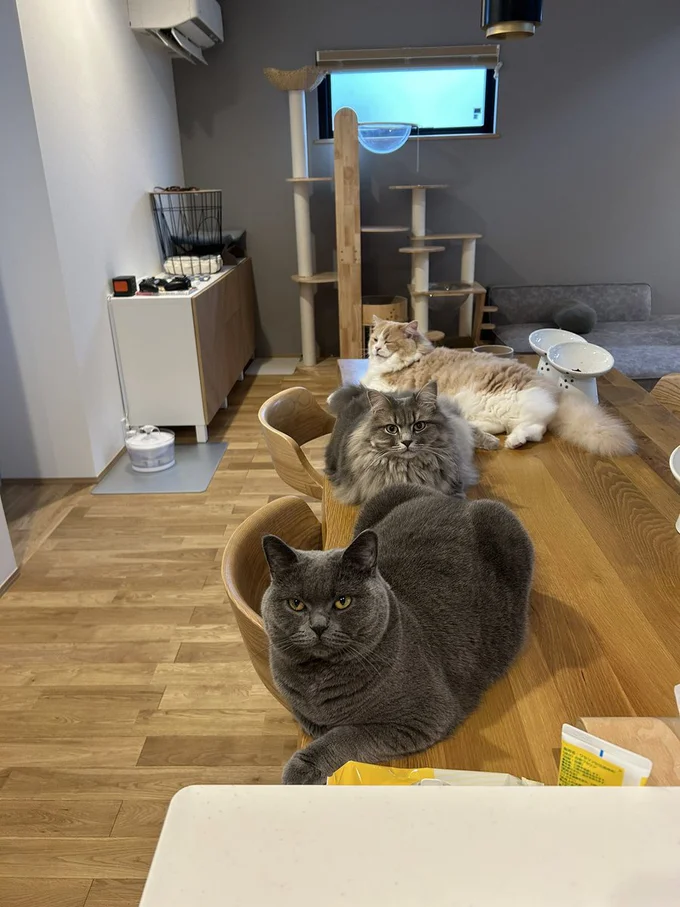 ベトナム旅の記録②ニャチャンkanako 料理家