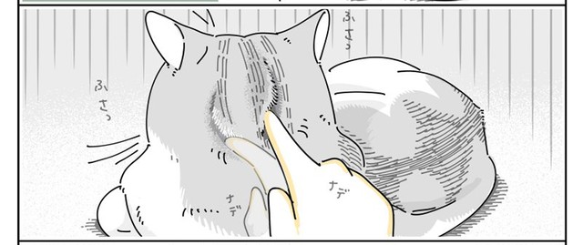 漫画】猫の頭のフカフカした誘惑に共感の嵐 つい指でいたずら書き「縞模様が可愛すぎるせいだ！」 |