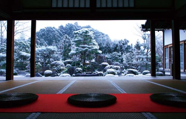 京都の世界遺産、冬の二条城がアートなフォトジェニックスポットに！｜るるぶ&more.