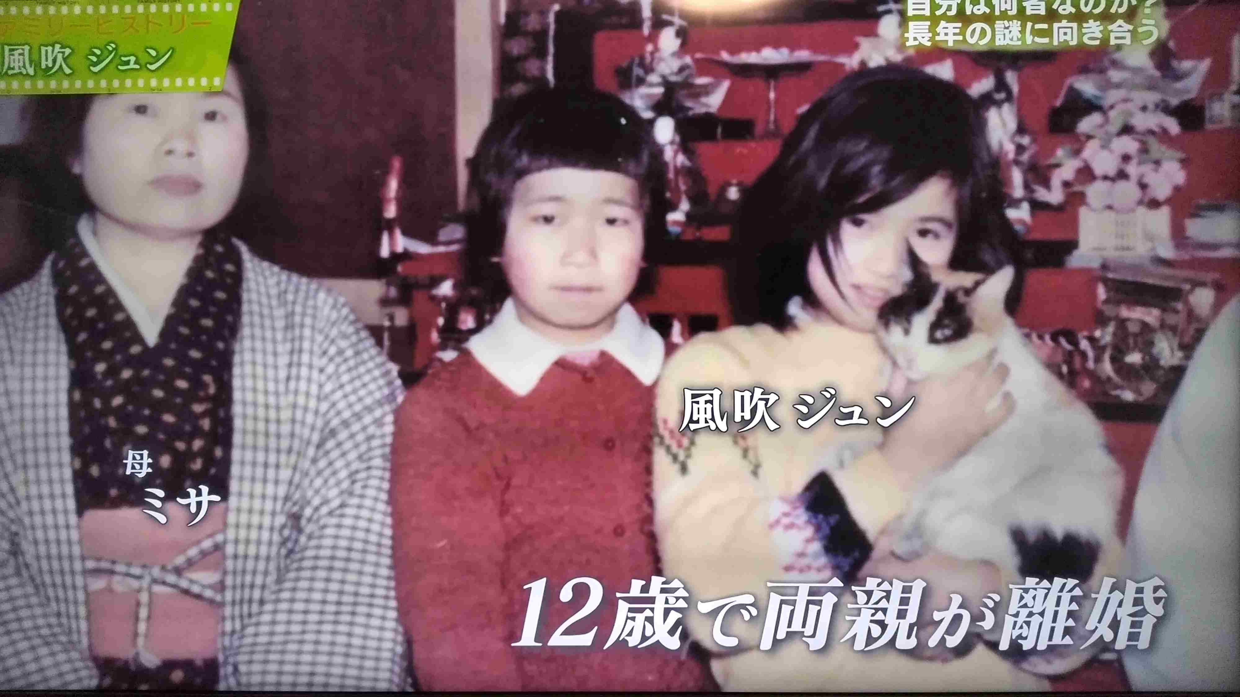 風吹ジュン編<2>「この頃の彼女の役は“暗い” 笑い 。またその暗さがよく似合う」日刊ゲンダイDIGITAL