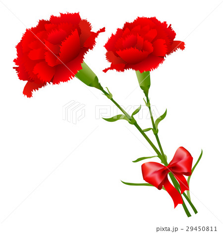 カーネーションイラストと母の日おめでとう！花、グリーティングカード、お母さんが大好き、ありがとうございます。のイラスト素材・ベクター Image184592445