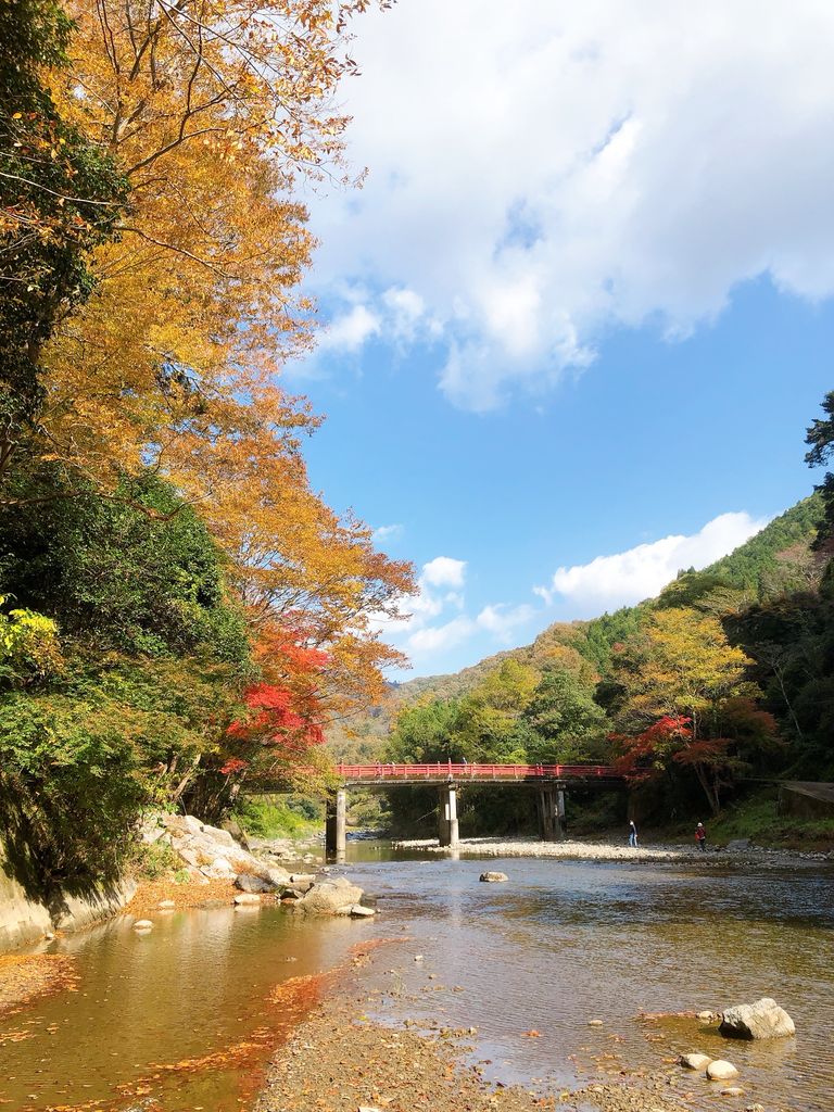 井原(岡山県)駅周辺のスイーツ・ケーキランキングTOP10 - じゃらんnet