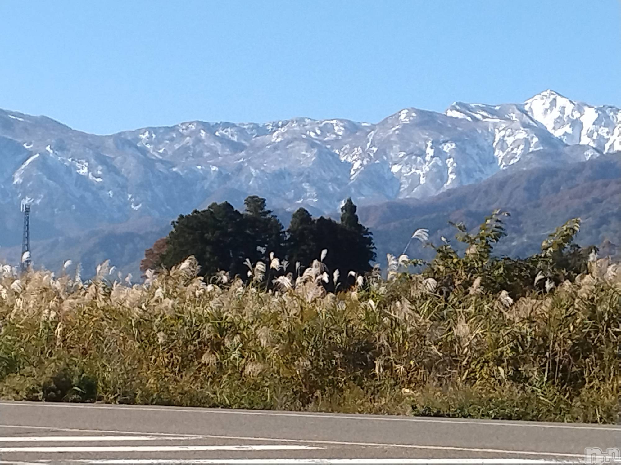 高山市のデリヘル おすすめ一覧｜ぬきなび