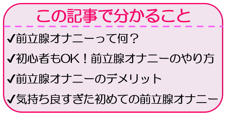 至高の前立腺オナニーのやり方とは？初めてでも気持ちよくなれる！ | Trip-Partner[トリップパートナー]