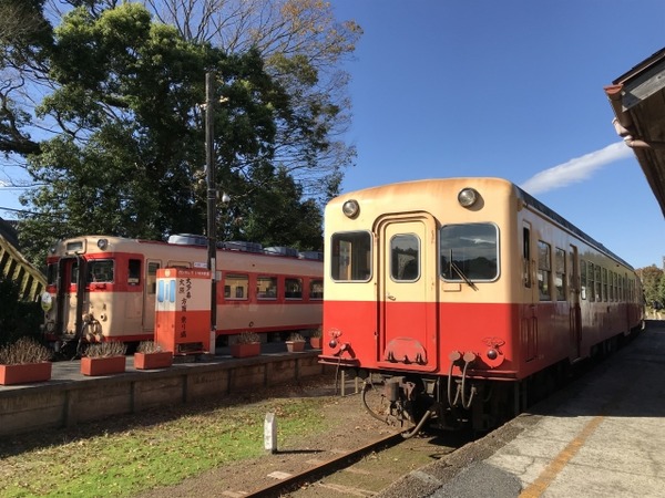 今年も発売！サンキュー❤ちばフリーパスで旅しよう♪｜特集｜千葉県公式観光サイト ちば観光ナビ