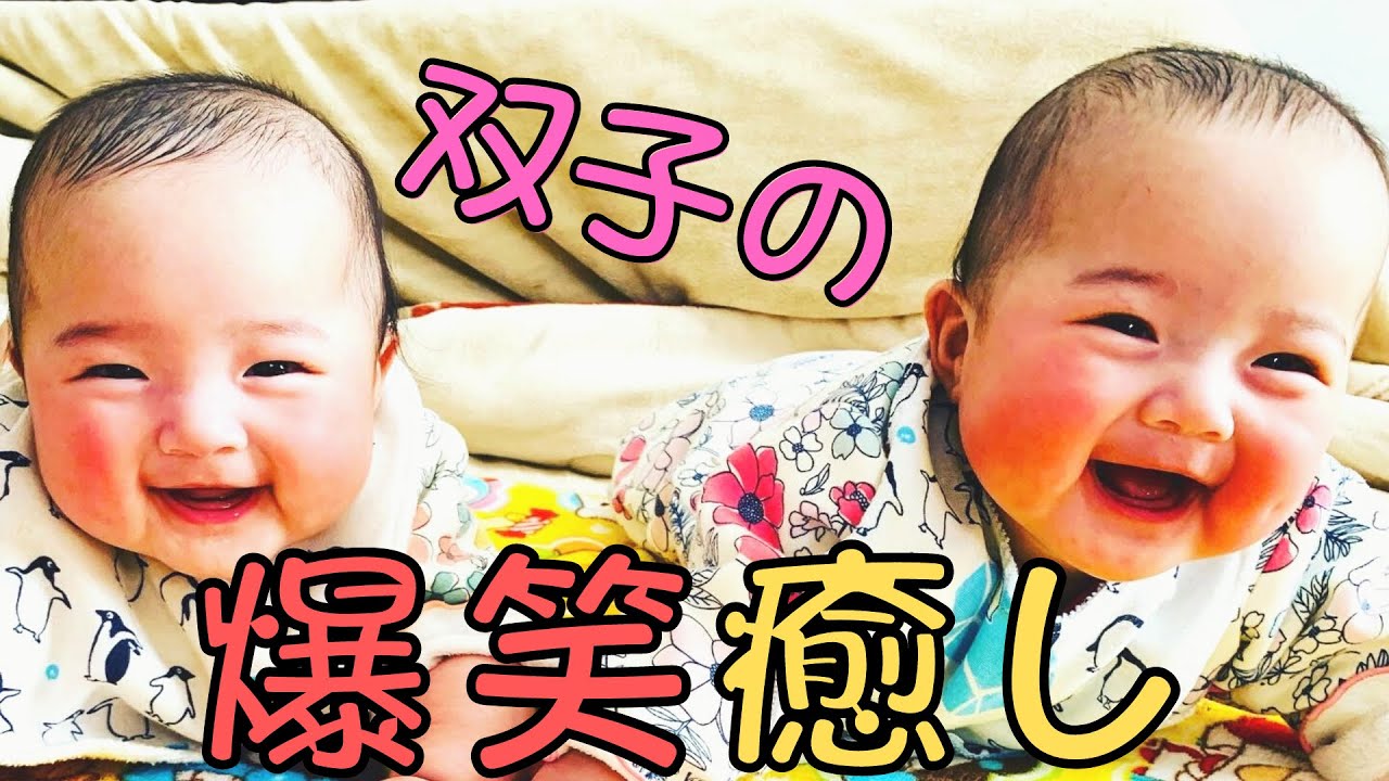 可愛い双子アフレコ動画おもしろ赤ちゃんの会話と笑い声TikTok