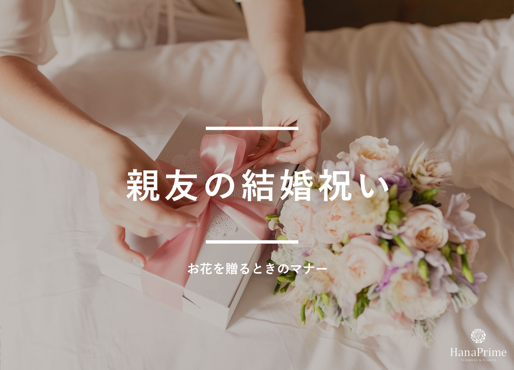 友情」の花言葉をもつ花11選！友人への贈り物におすすめ植物は？BOTANICA