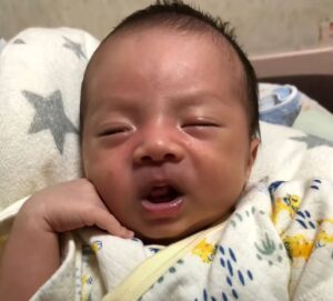 新生児 美形TikTok