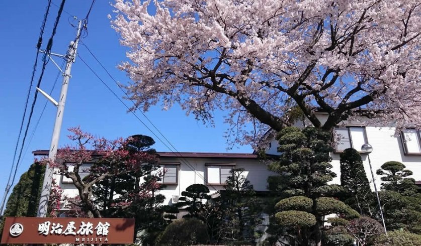 明治屋旅館 公式ホームページ