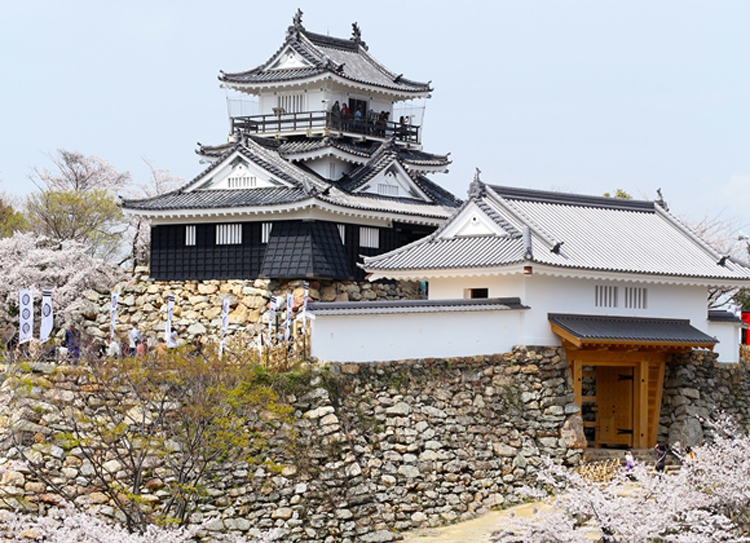 もう一人の女城主・お田鶴の方 - 波と狛のつれづれ日記