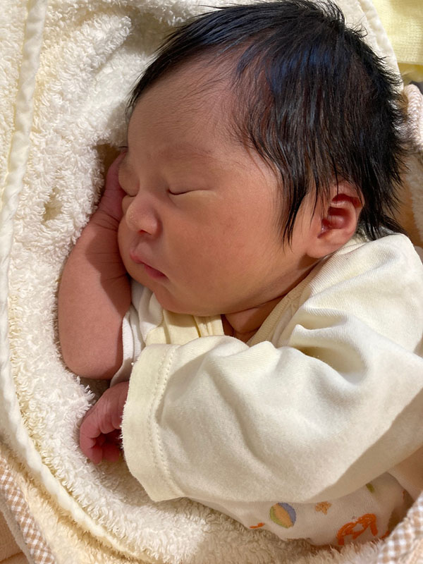 正面のお顔はかわいい？ブサイク！？ 第2弾スタッフブログ ECO日記名古屋ECO動物海洋専門学校