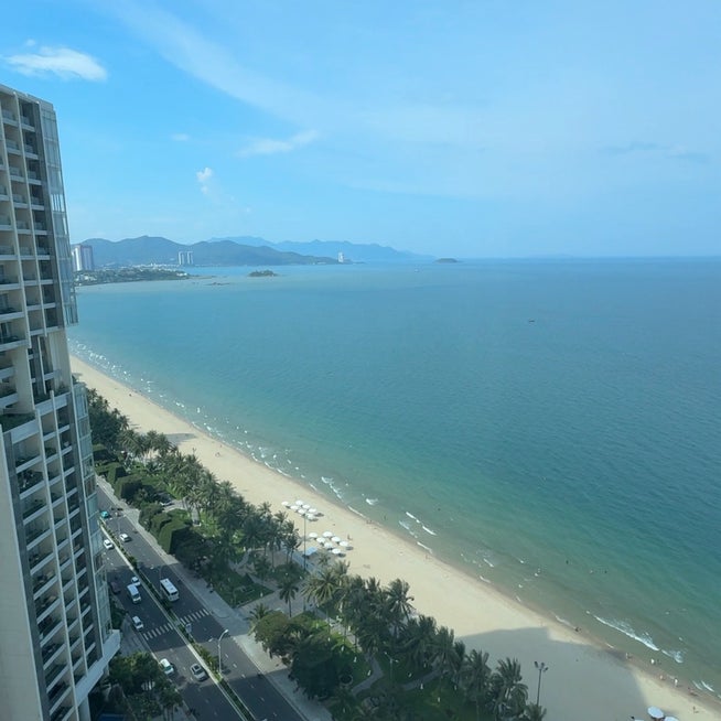 sound on 🐱💭, 朝からにゃおにゃおお話ししてくれた猫ちゃん🐱❤️,フォロワーさんに「おはよう〰️って言っているように聞こえます🤭」って言われて ✨, 確かに❣️そう聞こえる〜🥹🐱💭❣️❣️❣️❣️,しらすと会話できる日も近そう🤣❤️‍🔥, ⁡It sounds like he's saying 「good morning☀️」, ⁡,がに股猫のしらすさん, ., .,