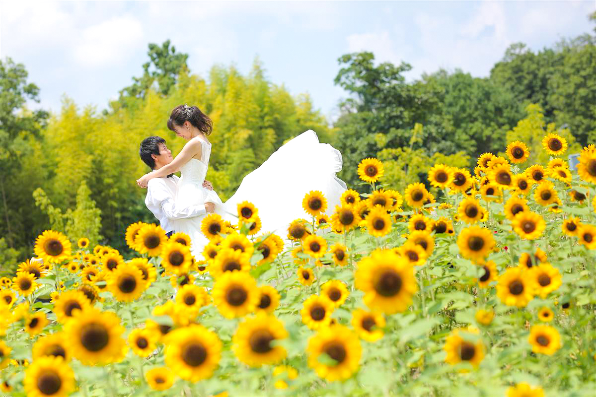 ひまわり特集 ウェディング＆前撮りのアイデア26選 - Cocomelodyマガジン