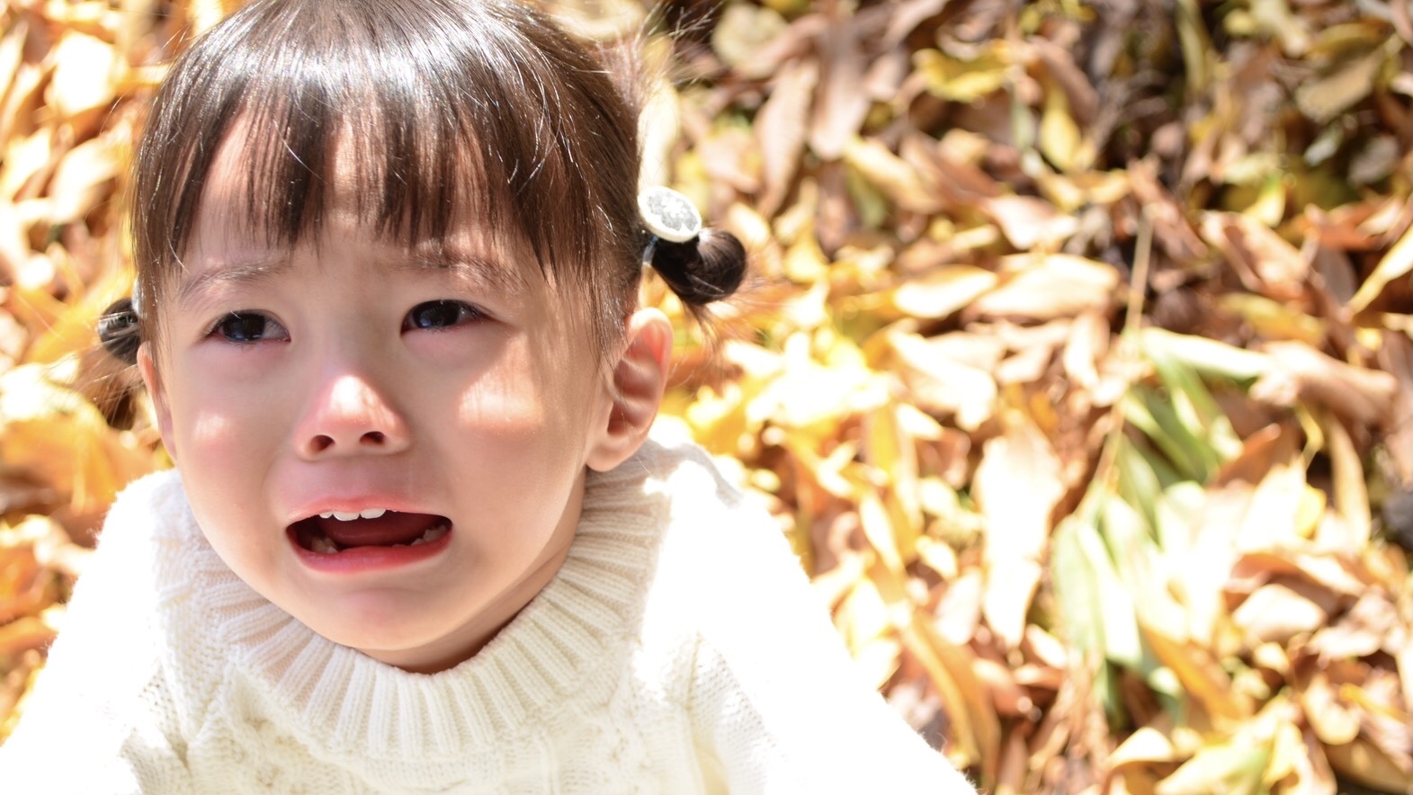 ママがいい」のはなぜ？いつまで続く？パパが知っておきたい対処法 - キッズライン