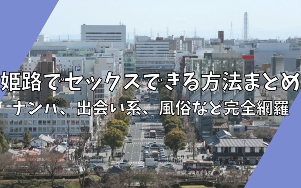 姫路で本番できる裏風俗4選！立ちんぼ・デリヘルの基盤情報を調査！【NN/NS体験談】 | Trip-Partner[トリップパートナー]