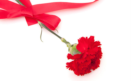 母の日はおしゃれで可愛い画像をプレゼントしよう！カーネーションなど♡お花画像まとめ 無料 おしゃれ・かわいい無料写真素材：GIRLY DROP