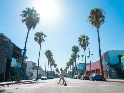 ロサンゼルスの旅行記12選！2025年最新版で夏の魅力を徹底解説トラベルスタンダードジャパン