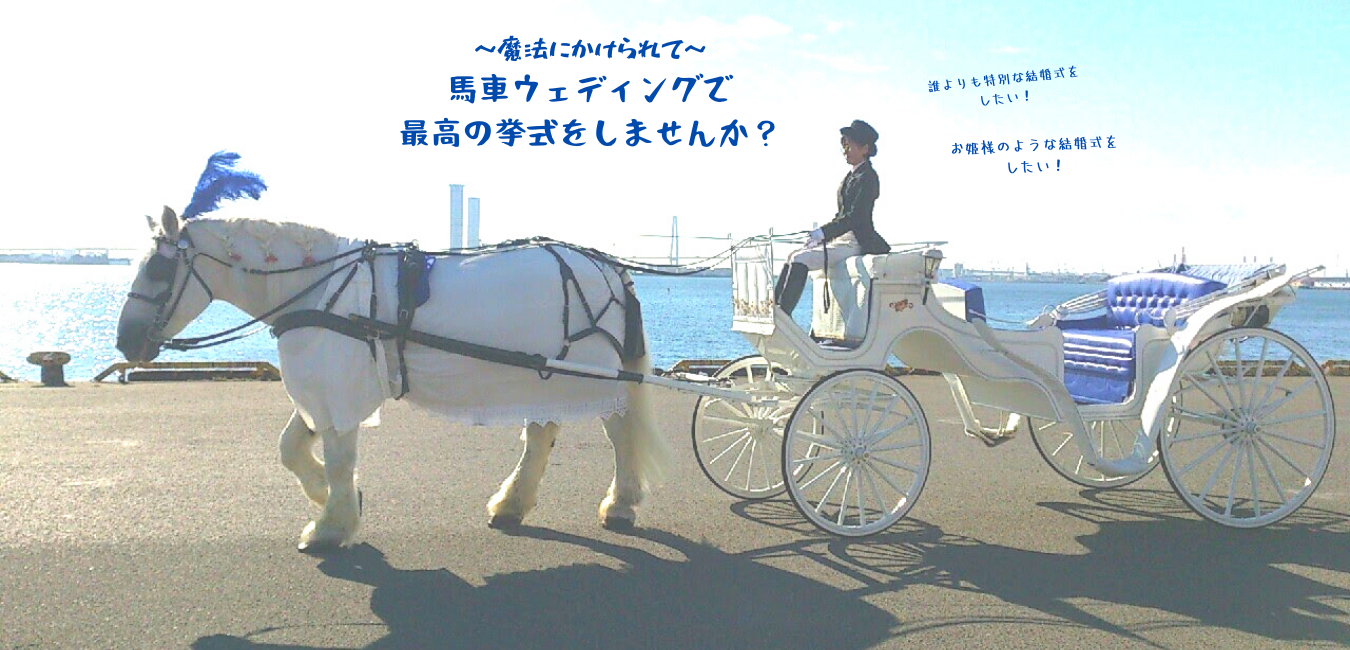 白馬に乗って新郎がサプライズ登場！ ゲストも驚いたサプライズ口コミ・体験談軽井沢プリンスホテル フォレスターナ軽井沢マイナビウエディング
