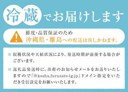 2026年先行受付 大粒希少品種 藤稔1房700g以上!岡山県真庭市ふるさと納税サイト「さとふる」