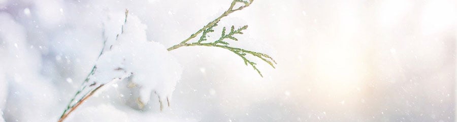 冬生まれの女の子におすすめの名前・漢字370選 - 名付けポン