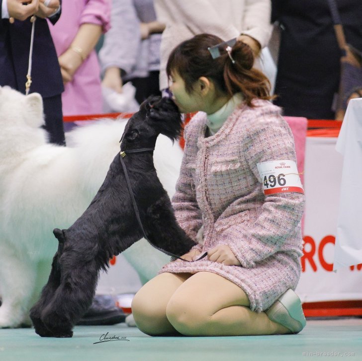 大阪 田中 美奈実 たなか みなみ ブリーダーみんなのブリーダ
