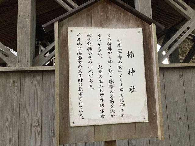 手塚治虫ファンにしか伝わらない、7人兄弟の名付け方森逸崎 海 もりいざき うみ