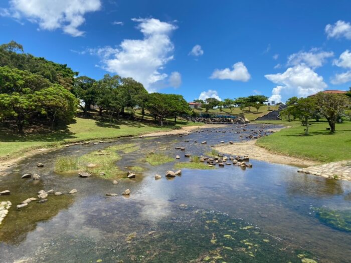 沖縄川遊び名護市羽地大川でガサガサ生き物観察沖縄エンジョイ