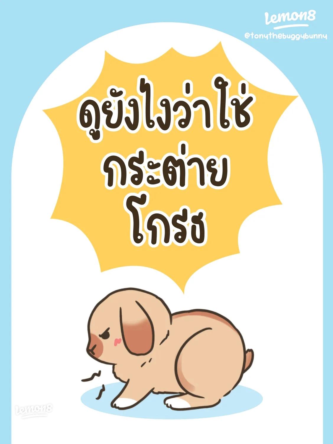 SHOWROOM ショールームライブ配信サービス