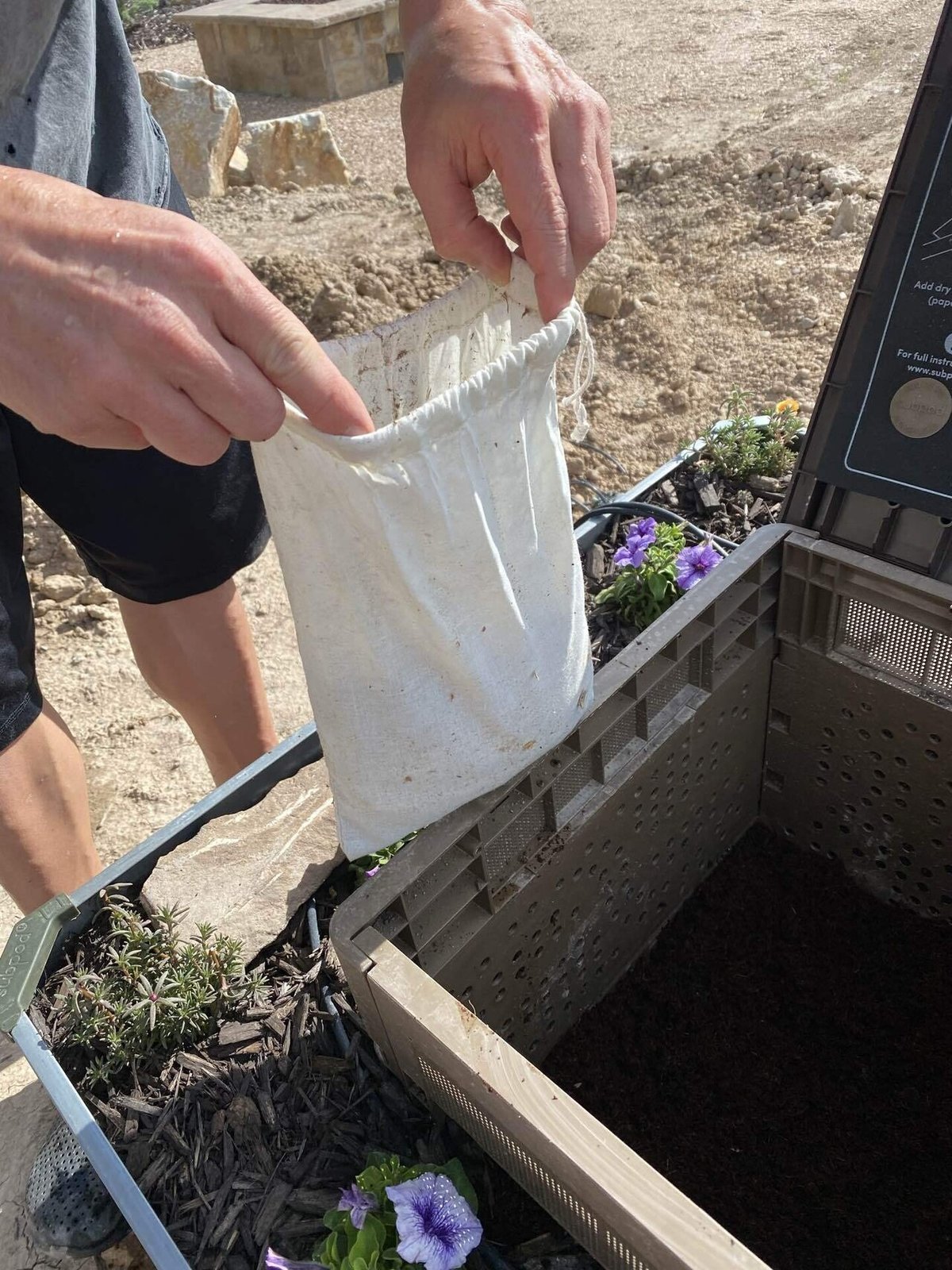 ドバミミズ20匹1000円 熱帯魚の餌にもあり！ 爬虫類・両生類のエサ